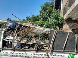 Best Attic Cleanout  in Worthgton, IN